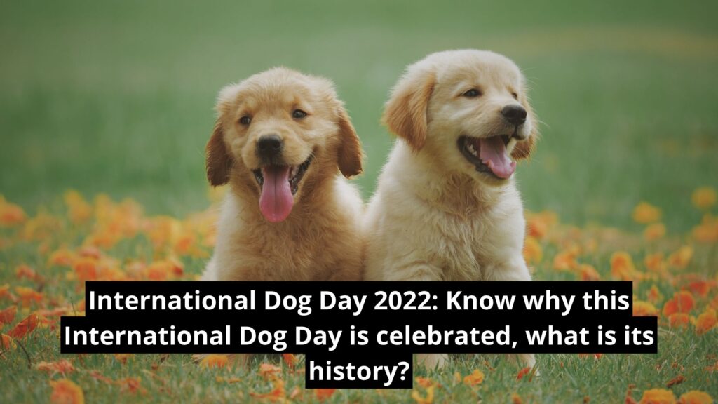 International Dog Day 2022 Know why this International Dog Day is